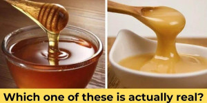 Beitragsbild des Blogbeitrags 11 Most Faked Foods In The World