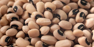 Beitragsbild des Blogbeitrags How to Choose the Ideal Black Eyed Peas Substitute