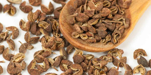 Beitragsbild des Blogbeitrags Sichuan Peppercorns Substitute: 9 Best Options for Spicy Dishes