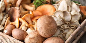 Beitragsbild des Blogbeitrags What To Substitute for Mushrooms: 17 Great Options To Use
