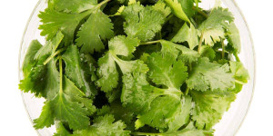 Beitragsbild des Blogbeitrags 8 Top Cilantro Substitute Options For Every Recipe