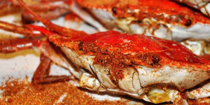 Beitragsbild des Blogbeitrags Old Bay Seasoning Substitute: What Can You Use Instead? 