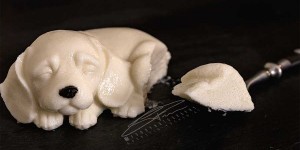 Beitragsbild des Blogbeitrags Kalter Hund
