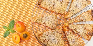 Beitragsbild des Blogbeitrags Ein Marillen Streuselkuchen ist im Handumdrehen gezaubert