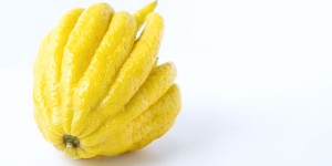 Beitragsbild des Blogbeitrags Buddhas Hand haltbar machen und lange etwas davon haben