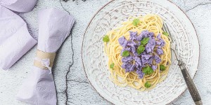 Beitragsbild des Blogbeitrags Mit den Spaghetti Klopapieronara überlebst Du die Corona Notsituation 