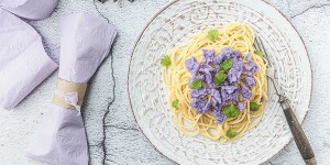 Beitragsbild des Blogbeitrags Mit den Spaghetti Klopapieronara überlebst Du die Corona Notsituation