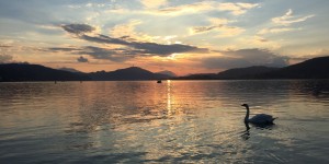 Beitragsbild des Blogbeitrags allein allein