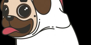 Beitragsbild des Blogbeitrags Das Leben ist kein Ponyhof