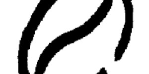Beitragsbild des Blogbeitrags verloren..