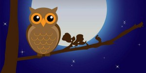 Beitragsbild des Blogbeitrags Für alle Nachteulen da draußen!