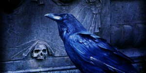 Beitragsbild des Blogbeitrags Halloween – Special#19