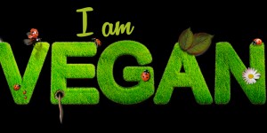 Beitragsbild des Blogbeitrags Absolut Vegan!