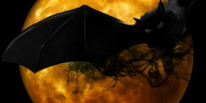 Beitragsbild des Blogbeitrags Halloween – Special#30 