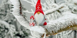 Beitragsbild des Blogbeitrags Weihnachts – Special#8