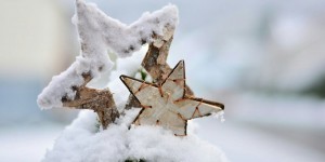 Beitragsbild des Blogbeitrags Weihnachts-Special#19