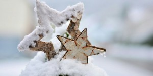 Beitragsbild des Blogbeitrags Weihnachts-Special#19 