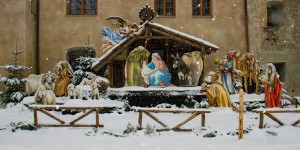 Beitragsbild des Blogbeitrags Worte der Weisheit#368