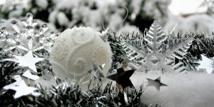Beitragsbild des Blogbeitrags Weihnachts – Special #22