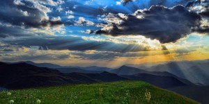 Beitragsbild des Blogbeitrags Worte der Weisheit#383