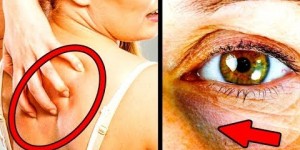 Beitragsbild des Blogbeitrags Gefunden im Netz#6