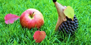 Beitragsbild des Blogbeitrags Worte der Weisheit#406