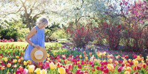 Beitragsbild des Blogbeitrags Worte der Weisheit#407