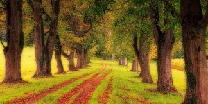 Beitragsbild des Blogbeitrags Worte der Weisheit#411