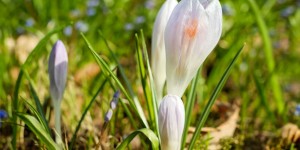 Beitragsbild des Blogbeitrags Lieblingslieder#180