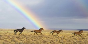 Beitragsbild des Blogbeitrags Worte der Weisheit#427 