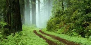 Beitragsbild des Blogbeitrags Lieblingslieder#182 