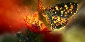 Beitragsbild des Blogbeitrags Worte der Weisheit#435