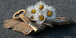 Beitragsbild des Blogbeitrags Worte der Weisheit#438 