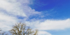 Beitragsbild des Blogbeitrags Guten Morgen!