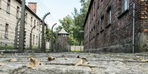 Beitragsbild des Blogbeitrags 8. Mai 1945 – Gedenktag