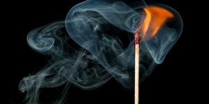 Beitragsbild des Blogbeitrags Worte der Weisheit#463