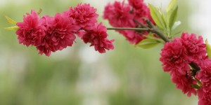 Beitragsbild des Blogbeitrags Worte der Weisheit#464