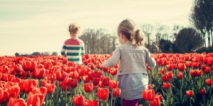 Beitragsbild des Blogbeitrags Verhängnisvolle Methode – Ein kritischer Blick auf unsere Kindergärten!