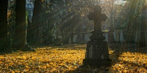 Beitragsbild des Blogbeitrags Der Tod ist nur eine Metamorphose!