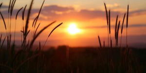 Beitragsbild des Blogbeitrags Worte der Weisheit#484
