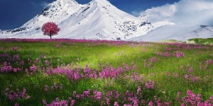 Beitragsbild des Blogbeitrags Worte der Weisheit#491