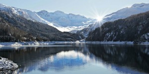 Beitragsbild des Blogbeitrags Worte der Weisheit#494