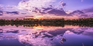 Beitragsbild des Blogbeitrags Worte der Weisheit#509