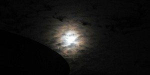 Beitragsbild des Blogbeitrags Impressionen + App empfehlung! (Produktempfehlung*) 