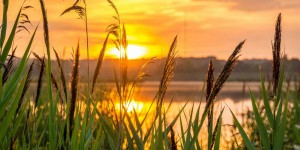 Beitragsbild des Blogbeitrags Worte der Weisheit#522