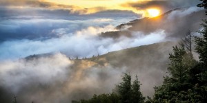 Beitragsbild des Blogbeitrags Worte der Weisheit#524
