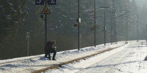Beitragsbild des Blogbeitrags Worte der Weisheit#525
