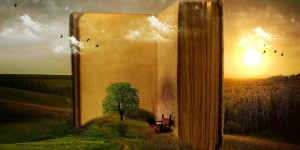 Beitragsbild des Blogbeitrags Worte der Weisheit#534