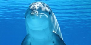 Beitragsbild des Blogbeitrags Faktencheck#2