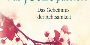 Beitragsbild des Blogbeitrags Buchrezension#44 – Leben ist was jetzt passiert 